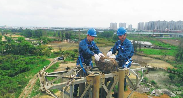 保護生態和諧共生，IKAR防墜器出一份力！
